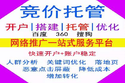 网络推广竞价策略案例分析